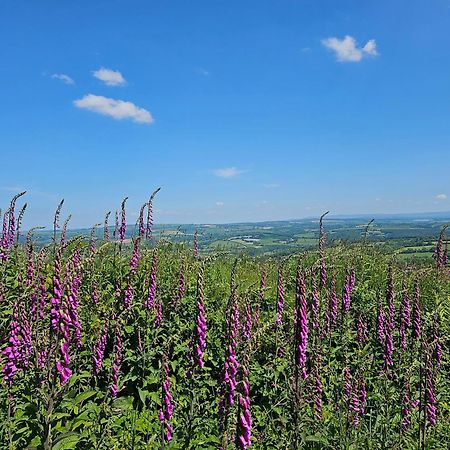 Summit Camping Kit Hill Cornwall Panoramic Views Grass Pitch From 15Pn Or Bella Bell Tent 75Pn Callington Exterior foto