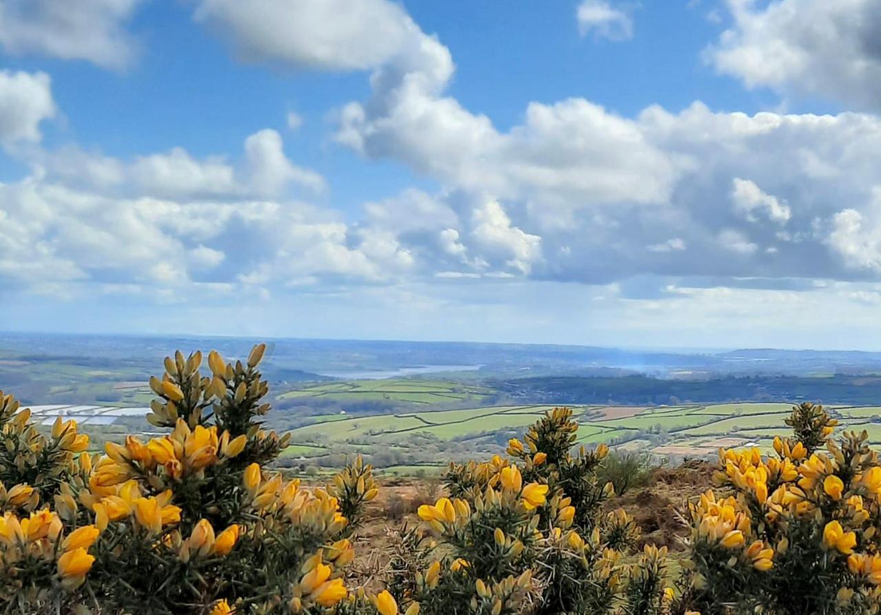 Summit Camping Kit Hill Cornwall Panoramic Views Grass Pitch From 15Pn Or Bella Bell Tent 75Pn Callington Exterior foto