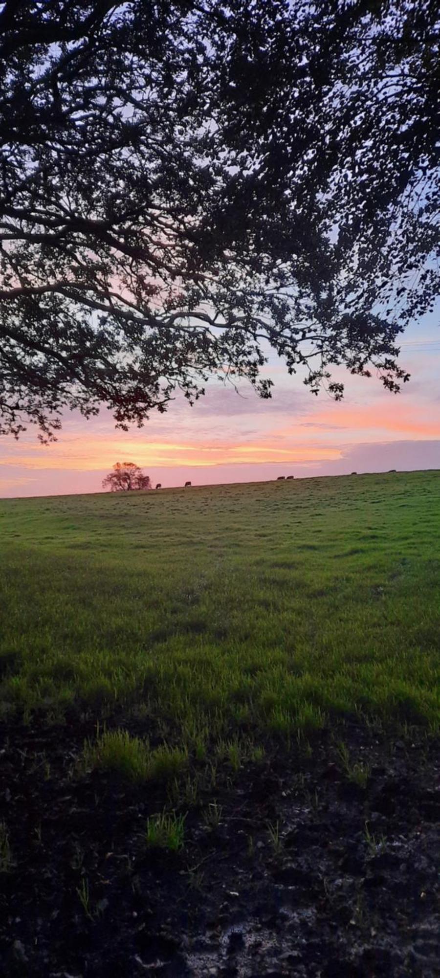 Summit Camping Kit Hill Cornwall Panoramic Views Grass Pitch From 15Pn Or Bella Bell Tent 75Pn Callington Exterior foto